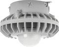 Gray Frosted Globe LED Ceiling Light U193280