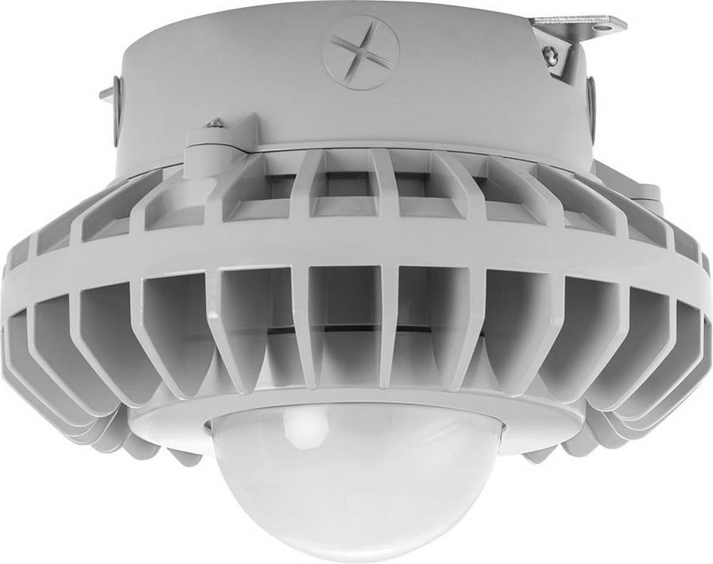 Gray Frosted Globe LED Ceiling Light U193280